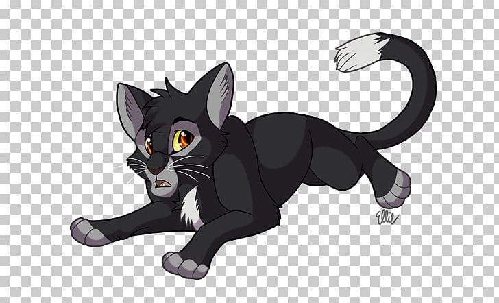 Cat Whiskers Warriors Ravenpaw Drawing PNG, Clipart,  Free PNG Download