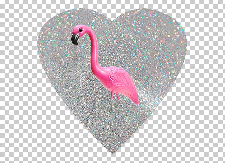 Greater Flamingo Bird We Heart It Tumblr PNG, Clipart, Animal, Animals, Bird, Feather, Flamingo Free PNG Download