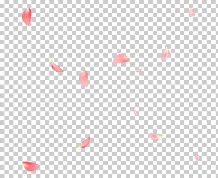 Rose Petal Flower PNG, Clipart, Circle, Computer Icons, Design, Download, Encapsulated Postscript Free PNG Download