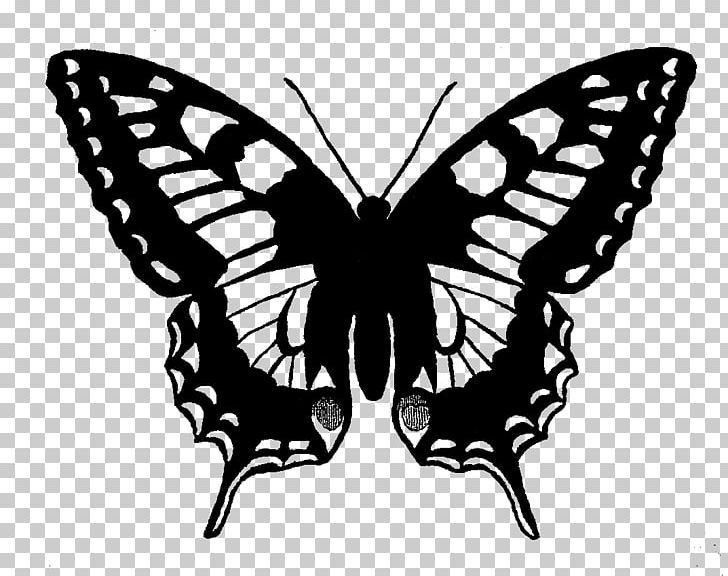 Swallowtail Butterfly Papilio Machaon PNG, Clipart, Arthropod, Black And White, Brush Footed Butterfly, Butterfly, Drawing Free PNG Download