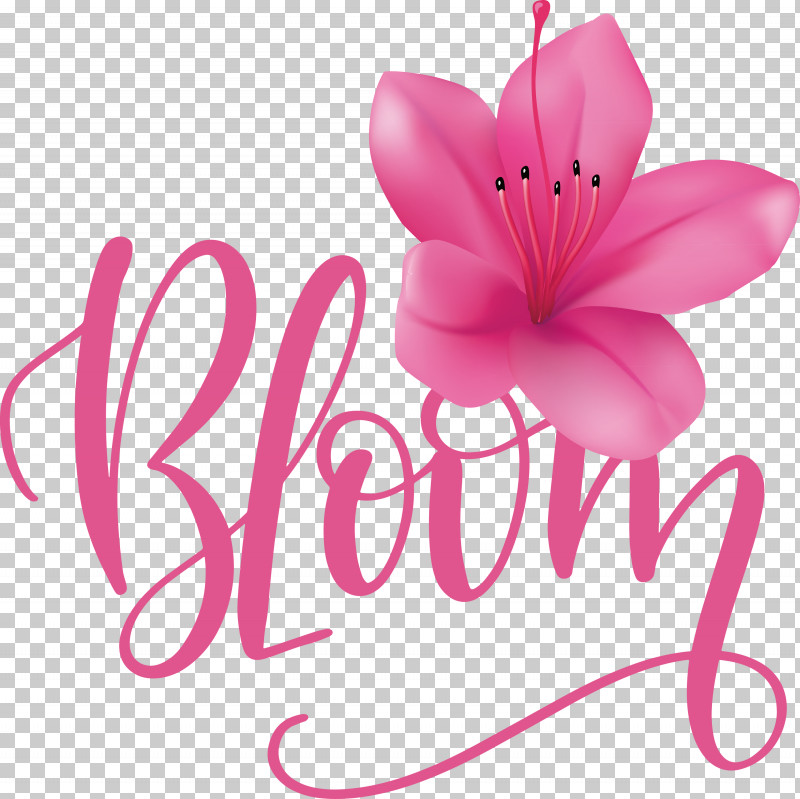Bloom Spring PNG, Clipart, Bloom, Content, Cut Flowers, Data, Petal Free PNG Download