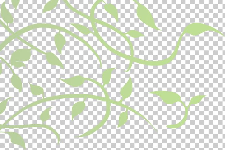 Leaf Plant Stem Pattern PNG, Clipart, Ayahuasca, Branch, Flora, Grass, Green Free PNG Download