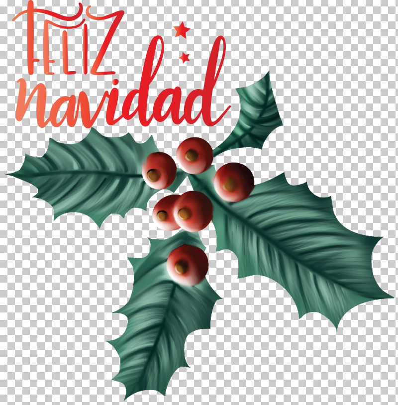 Feliz Navidad Merry Christmas PNG, Clipart, Aquifoliaceae, Aquifoliales, Biology, Christmas Day, Christmas Ornament Free PNG Download