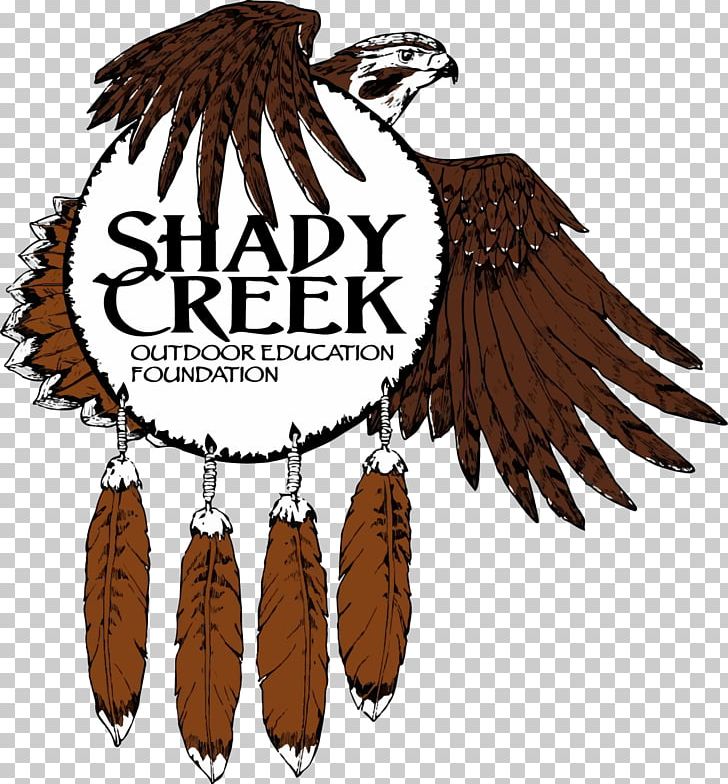 Shady Creek Outdoor School & Event Center Shady Creek Outdoor Education Foundation PNG, Clipart, Beak, Bird, Bird Of Prey, California, Eagle Free PNG Download