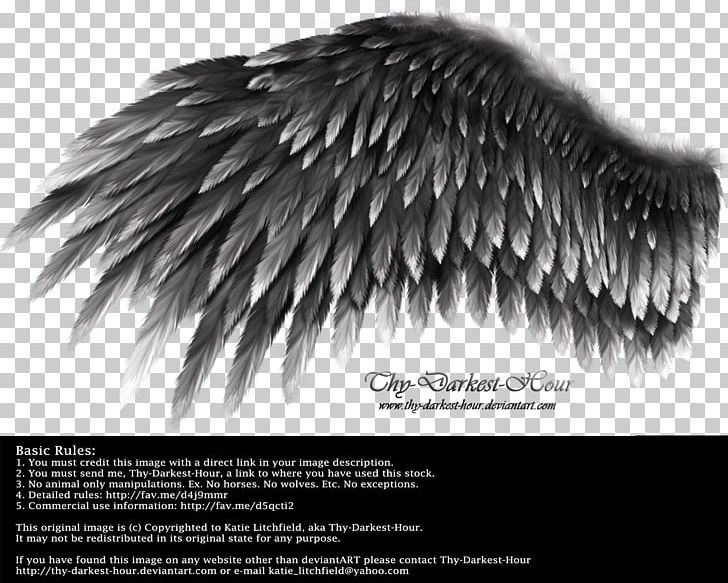 Wing YouTube White PNG, Clipart, Black, Black And White, Darkest Hour, Deviantart, Download Free PNG Download