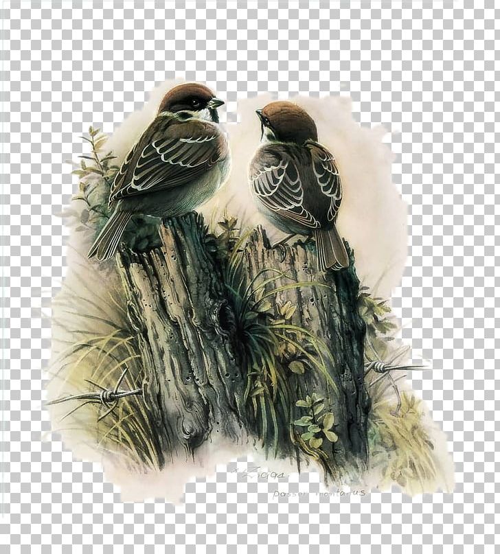 Bird Watercolor Painting Decoupage Chinese Painting PNG, Clipart, Animal, Animals, Bird Nest, Birds, Dialogue Free PNG Download