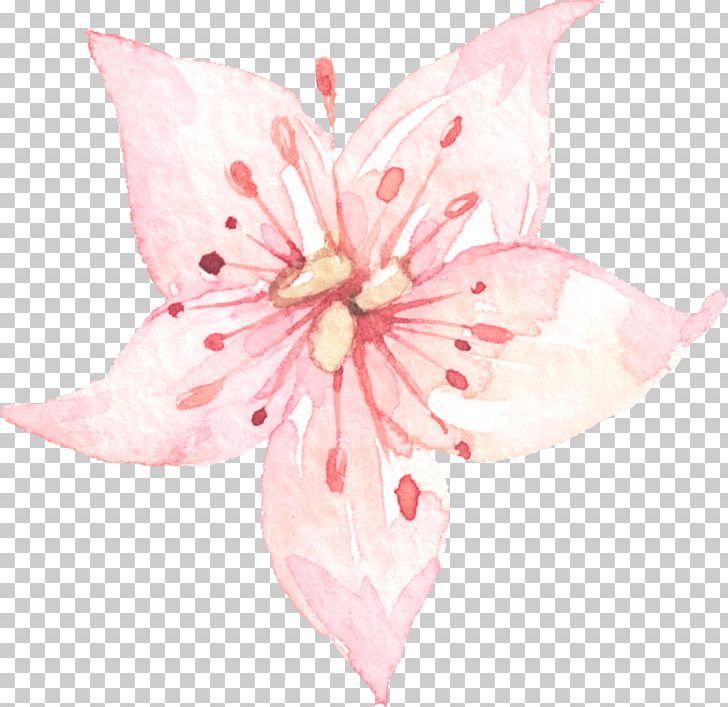 Flower Watercolor Painting Drawing PNG, Clipart, Art, Blossom, Cartoon, Cherry Blossom, Cut Flowers Free PNG Download