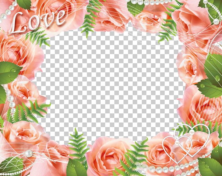 Frame PNG, Clipart, Artificial Flower, Border Frame, Christmas Frame, Cut Flowers, Display Resolution Free PNG Download