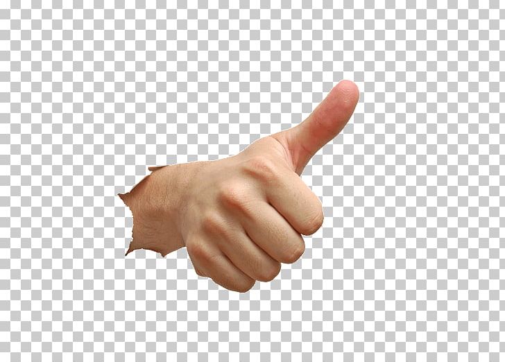 Thumb Hand Model PNG, Clipart, Arm, Finger, Hand, Hand Model, Payza Free PNG Download
