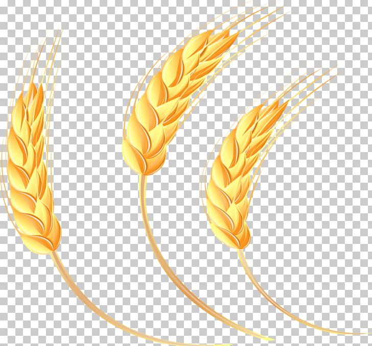 Cartoon Oat PNG, Clipart, Art, Cereal Germ, Color, Commodity, Computer Icons Free PNG Download