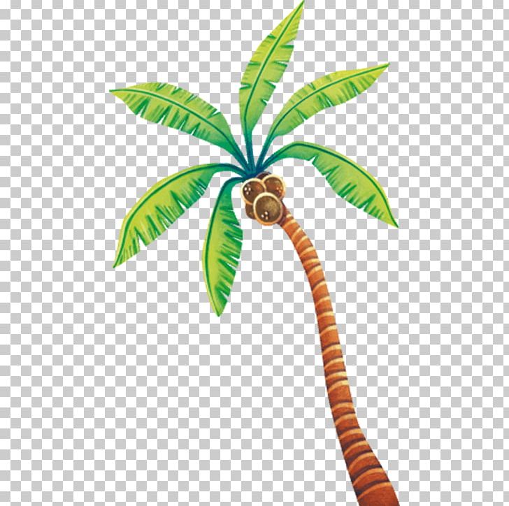 Sticker Child Arecaceae Coconut Parede PNG, Clipart, Arecaceae, Arecales, Billboard, Boy, Child Free PNG Download