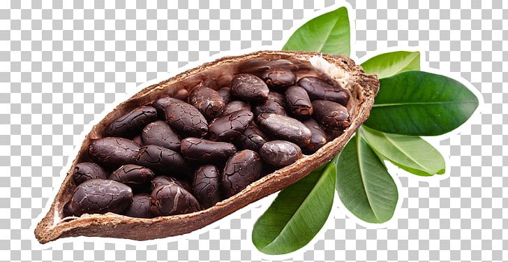 Cocoa Bean Antico Forno Di Garavaglia Fulvio & C. Snc Chocolate Bar Dietary Supplement Food PNG, Clipart, Amp, Antico, Bean, Cacao Arriba, Chocolate Free PNG Download