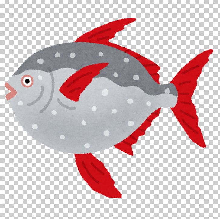 Lampris Guttatus Ocean Sunfish Sashimi Deep Sea Fish PNG, Clipart, Animals, Beak, Deep Sea, Deep Sea Fish, Fish Free PNG Download