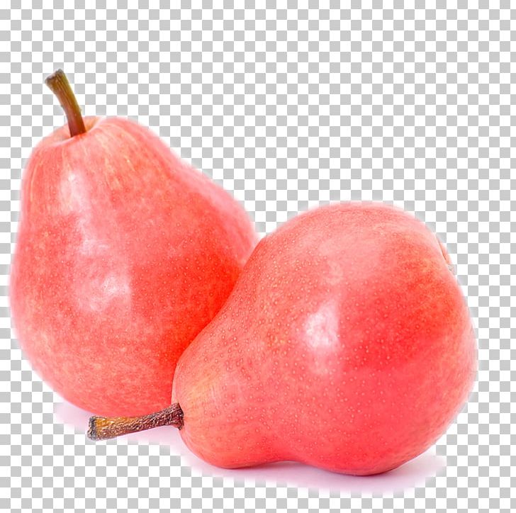 Pyrus Xd7 Bretschneideri Fruit Pear PNG, Clipart, Accessory Fruit, Download, Euclidean Vector, Food, Fruit Free PNG Download