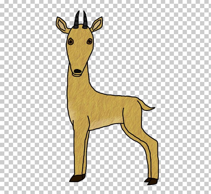 Reindeer White-tailed Deer Mammal Musk Deers PNG, Clipart, Animal, Animal Figure, Antelope, Antler, Canidae Free PNG Download