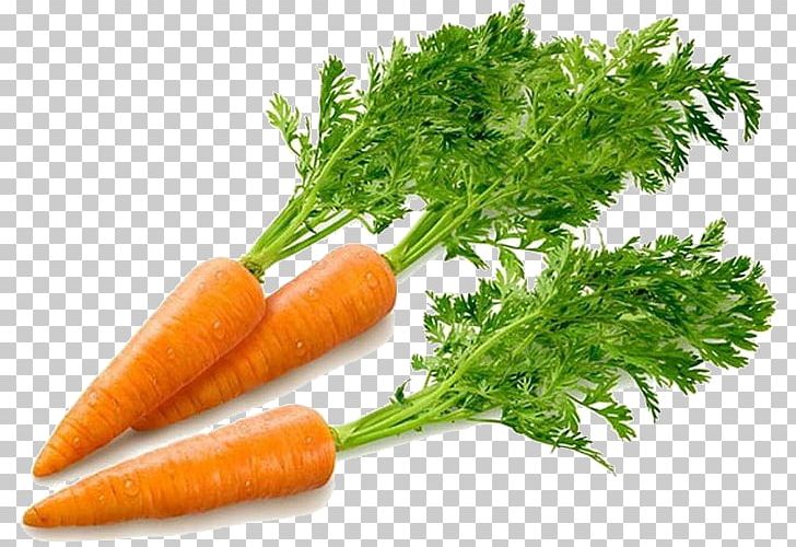 Carrot Cake Food Health PNG, Clipart, Baby Carrot, Carrot, Carrot Cake, Carrot Juice, Carrot Soup Free PNG Download