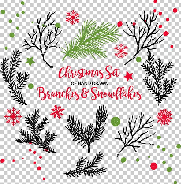 Christmas Tree Branch PNG, Clipart, Branch, Christmas Decoration, Decor, Encapsulated Postscript, Flower Free PNG Download