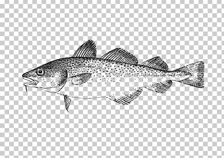 Sardine Cod Oily Fish Seafood PNG, Clipart, Animals, Atlantic Cod, Barramundi, Chum Salmon, Cod Free PNG Download