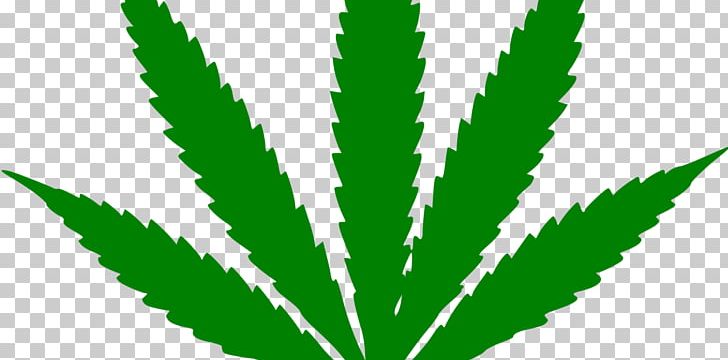 Adult Use Of Marijuana Act Medical Cannabis PNG, Clipart, Adult Use Of Marijuana Act, Cannabinoid, Cannabis, Cannabis In Papua New Guinea, Cannabis Rights Free PNG Download