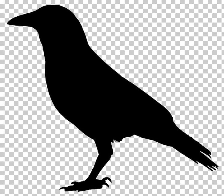 Crows Drawing PNG, Clipart, American Crow, Animals, Beak, Bird, Black And White Free PNG Download