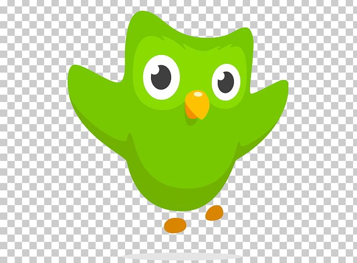 Duolingo Learning Language Acquisition Foreign Language PNG, Clipart, Amphibian, Beak, Bird, Cartoon, Course Free PNG Download