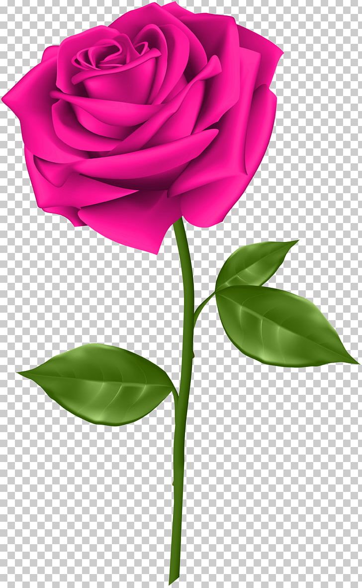 Blue Rose Desktop PNG, Clipart, Blue, Blue Rose, Bud, Color, Cut Flowers Free PNG Download