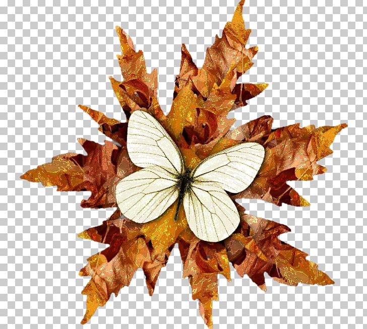 Brush-footed Butterflies Butterfly Symmetry PNG, Clipart, Agac Resimleri, Arthropod, Autumn, Brush Footed Butterfly, Butterfly Free PNG Download