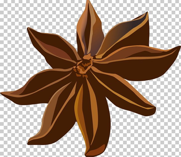 Spice Star Anise Condiment PNG, Clipart, Air, Anise, Breath, Brown, Cinnamon Free PNG Download