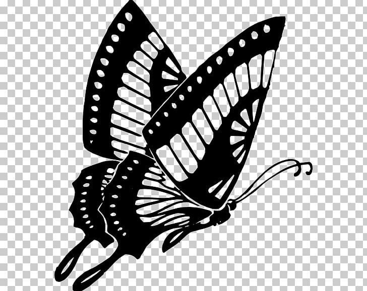 Butterfly Drawing PNG, Clipart, Arthropod, Black And White, Black Butterfly, Brush Footed Butterfly, Butterfly Free PNG Download