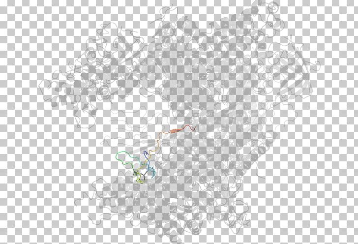 Map Line Tuberculosis PNG, Clipart, Adpribosylation, Area, Border, Branch, Branching Free PNG Download