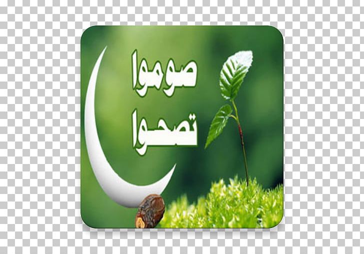 Psychology Fasting In Islam Imam Christianity Java Native Interface PNG, Clipart, Ali, Ali Alridha, Ali Ibn Husayn Zayn Alabidin, Android, Apk Free PNG Download