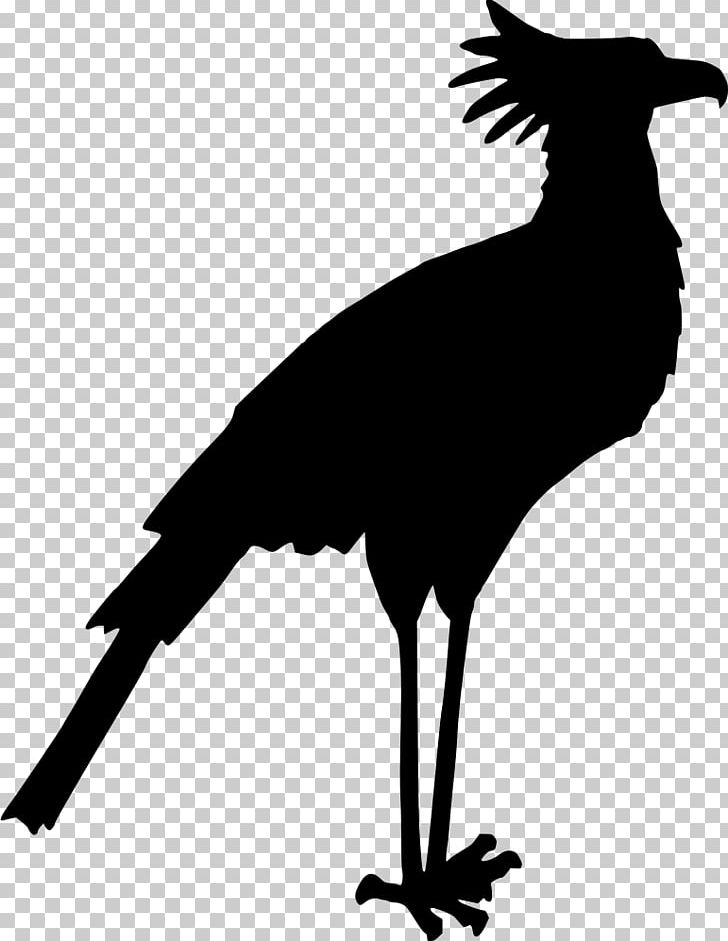 Secretarybird Silhouette PNG, Clipart, Animals, Beak, Bird, Bird Silhouette, Black And White Free PNG Download