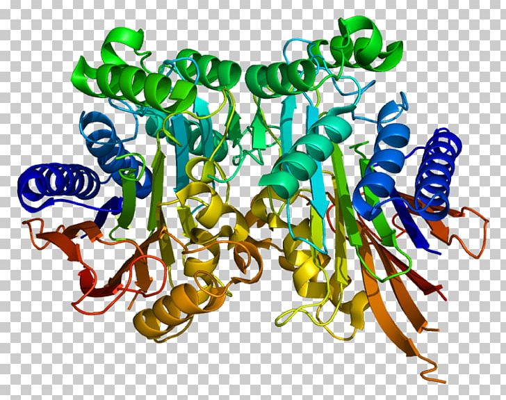 TASP1 Protein Gene Enzyme Protease PNG, Clipart, 2 A, 8 I, 8 L, Artwork, Enzyme Free PNG Download