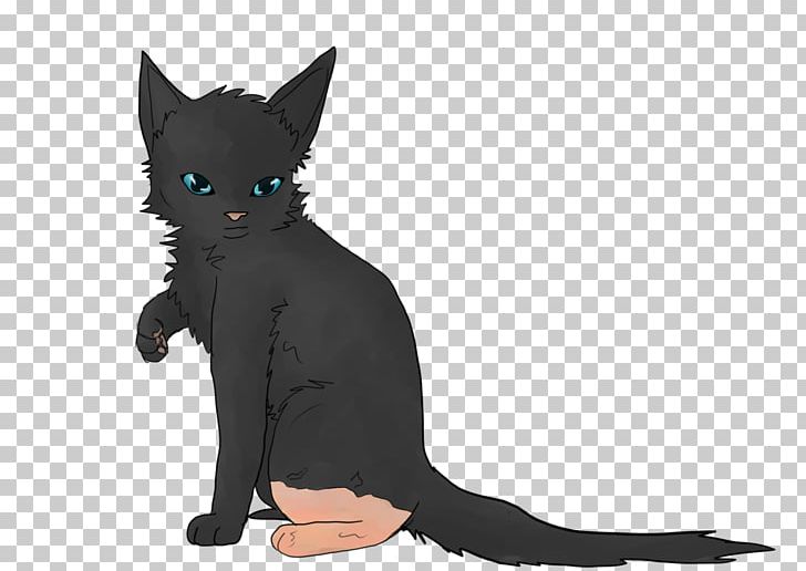 Whiskers Cat Dog Fur Mammal PNG, Clipart, Animals, Animated Cartoon, Black Cat, Canidae, Carnivoran Free PNG Download