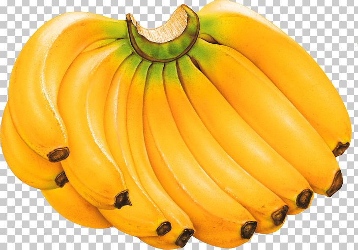 Cooking Banana Fruit PNG, Clipart, Banana, Banana Family, Blueberries, Calabaza, Cavendish Banana Free PNG Download