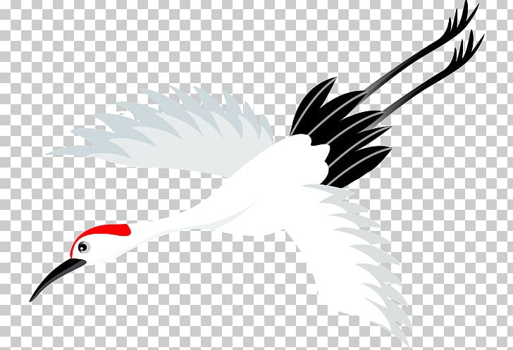 Crane PNG, Clipart, Beak, Bird, Bird Of Prey, Cartoon, Crane Free PNG Download