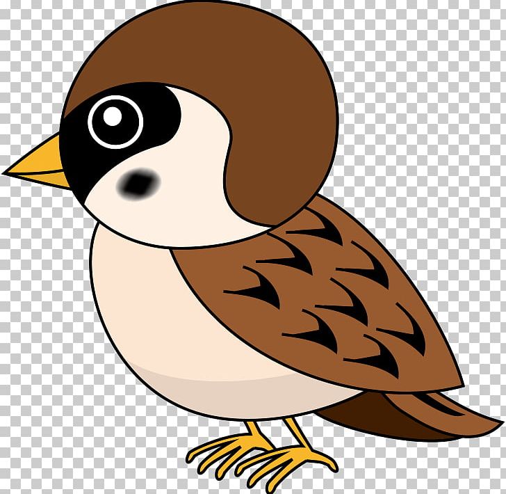 Eurasian Tree Sparrow Duck Bird PNG, Clipart, Animals, Art, Artwork, Beak, Bird Free PNG Download
