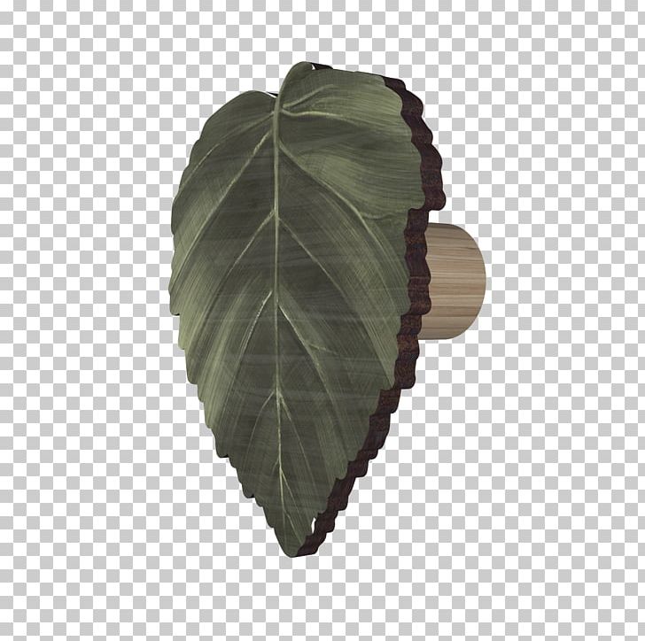 Leaf PNG, Clipart, Leaf, Plant, Terapy Free PNG Download