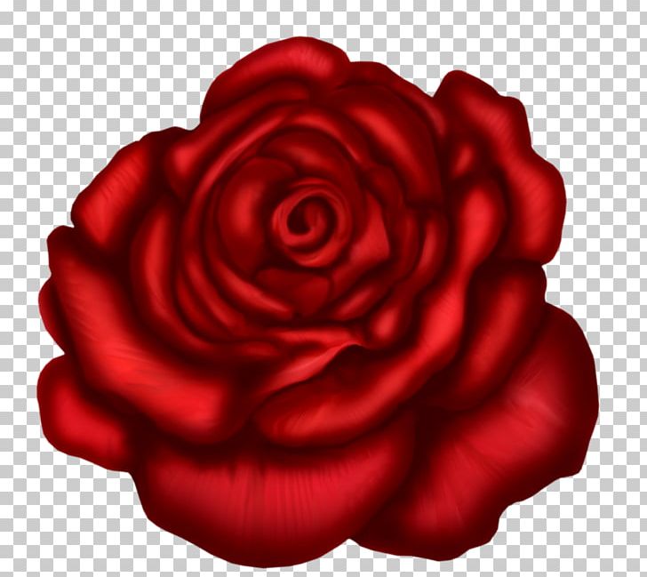 Rose Red Stock Photography PNG, Clipart, Art, Cut Flowers, Drawing, Flower, Flowering Plant Free PNG Download