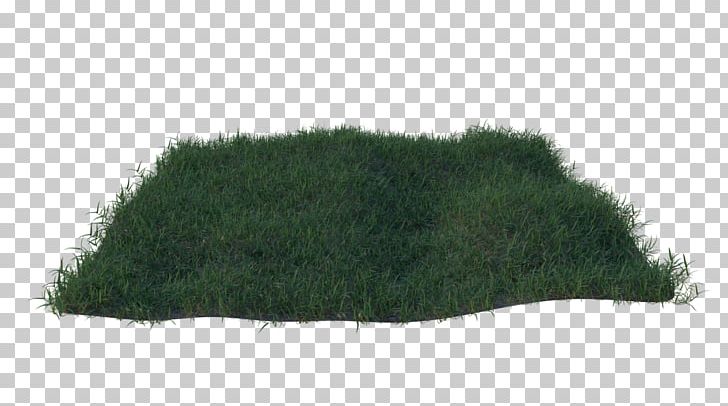 TinyPic Grasses Common Couch Lawn PNG, Clipart, Artist, Blender, Common Couch, Grass, Grasses Free PNG Download