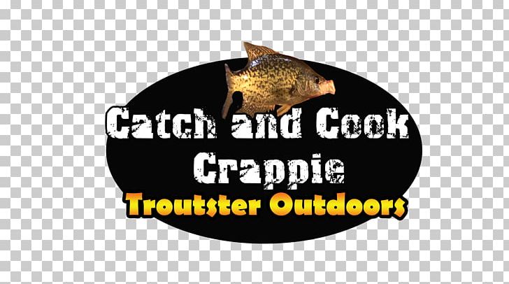 Fly Fishing Recreational Fishing Crappies Fishing Tackle PNG, Clipart, Brand, Brown Trout, Carnivoran, Cat, Cat Like Mammal Free PNG Download