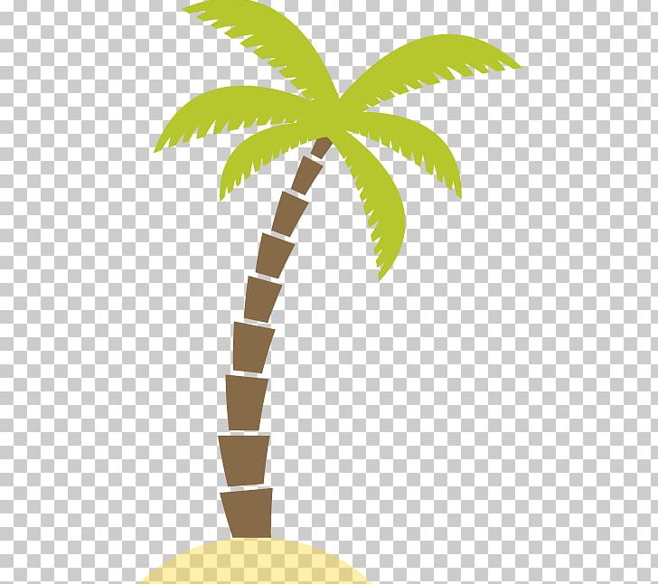 Graphics Illustration Photograph PNG, Clipart, Arecales, Beach, Caricature, Coconut, Comics Free PNG Download