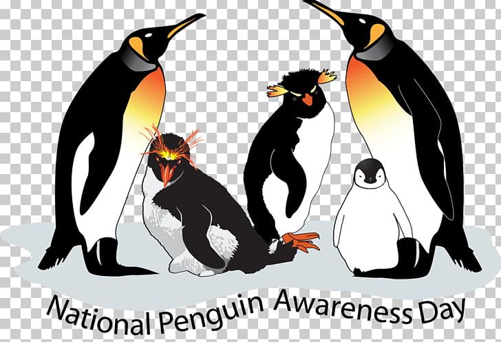 King Penguin PNG, Clipart, African Penguin, Animal, Art, Beak, Bird Free PNG Download