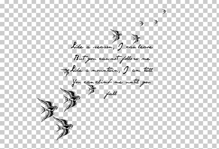 Lyrics Quotation Song 5 Seconds Of Summer Little White Lies PNG, Clipart, 5 Seconds Of Summer, Angle, Animal Migration, Area, Beak Free PNG Download