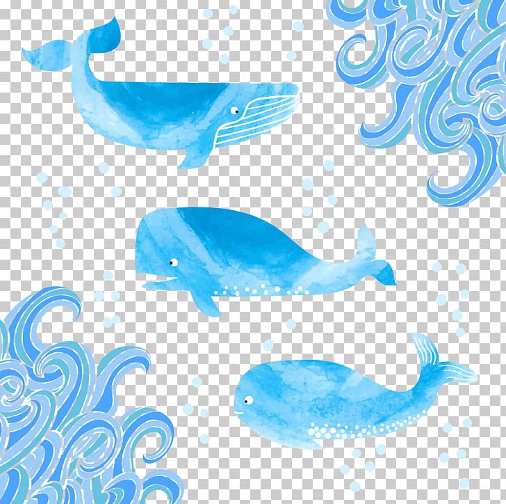 Marine Mammal Whale PNG, Clipart, Animals, Aqua, Azure, Blue, Blue Abstract Free PNG Download
