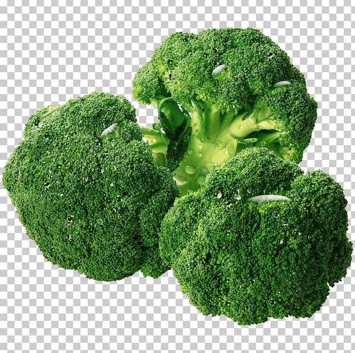 Broccoli PNG, Clipart, Broccoli, Grass, Leaf Vegetable, Rewe, Vegetable Free PNG Download