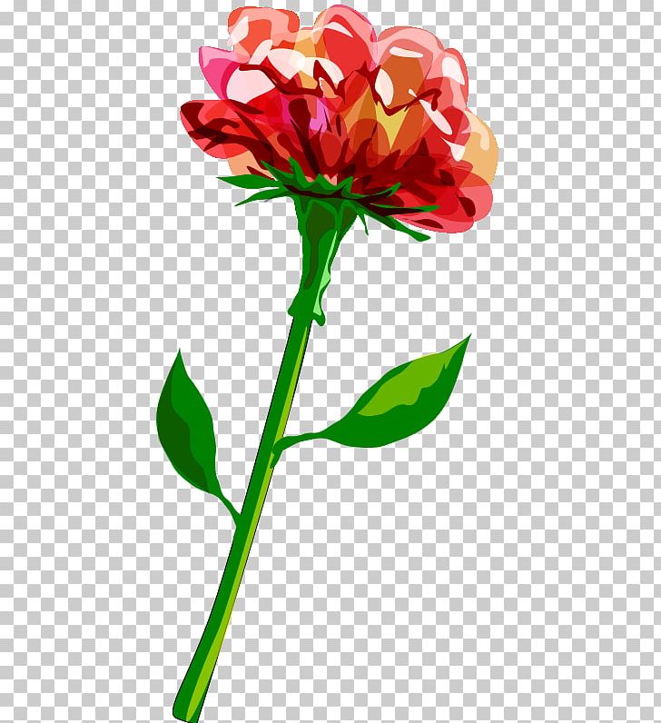 Plant Stem Flower Leaf PNG, Clipart, Artwork, Bud, Carnation, Cut Flowers, Flora Free PNG Download