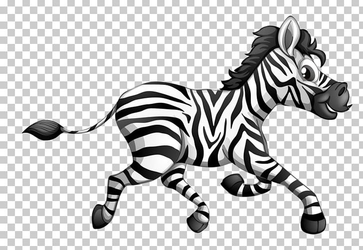 Zebra Cartoon Horse PNG, Clipart, Animals, Athlete Running, Athletics Running, Big Cats, Black Free PNG Download
