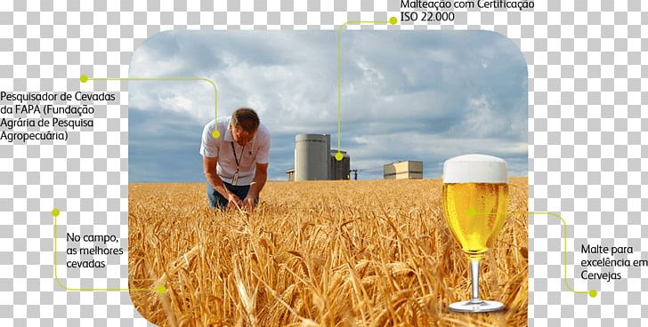 Beer Commodity Chain Industry PNG, Clipart, Barley, Beer, Blog, Brand, Commodity Free PNG Download