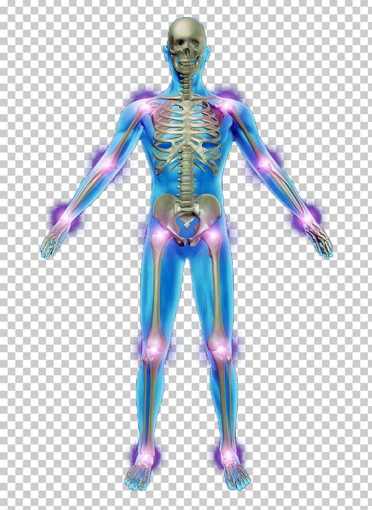 Human Skeleton Photography Anatomy Bone PNG, Clipart, Arm, Body, Disease, Dog Shit And Human Shit Is Xxx, Exo Skeleton Free PNG Download